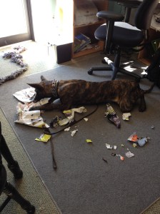 In school, I sometimes felt like doing this to my books and article. 