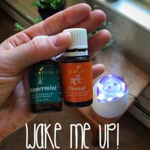 Since working is not optional I use a combo of peppermint and orange essential oils in my diffuser to pick me up when I want to take a nap in the afternoon. You should get in on this!